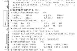 2024-2025学年五年级下语文期中综合素养评估卷