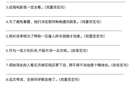 六下语文《语文六大句型期中考点专练》